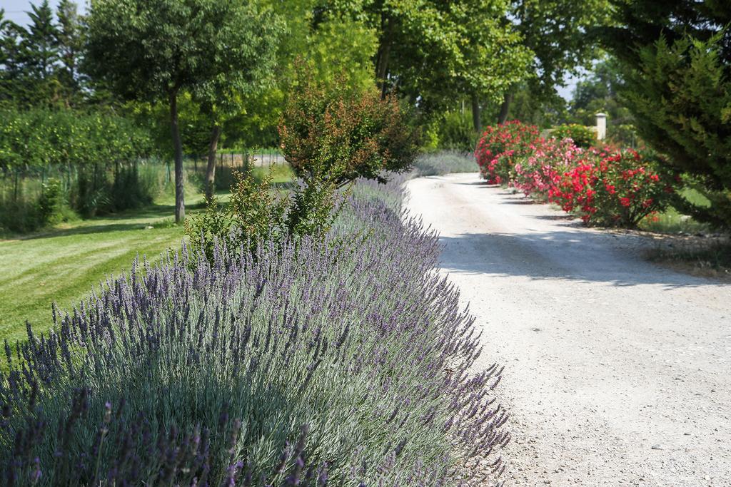 Les Carmes And Spa Ле-Тор Экстерьер фото